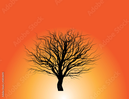 tree without leaves silhouette © flashdolee
