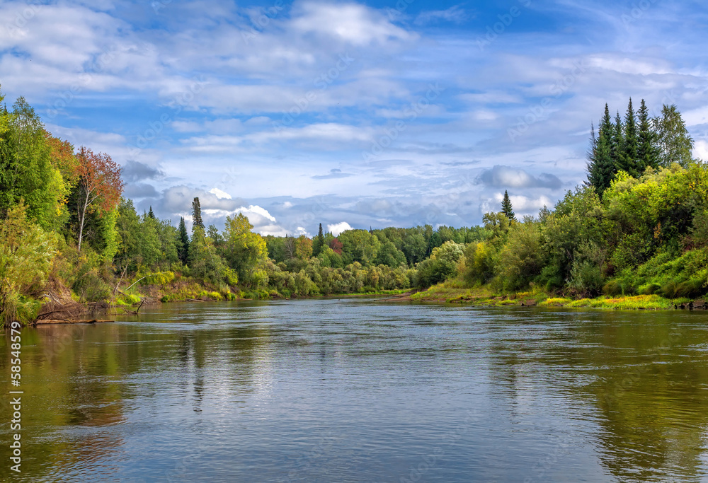 Obraz premium Siberian landscape with wilderness