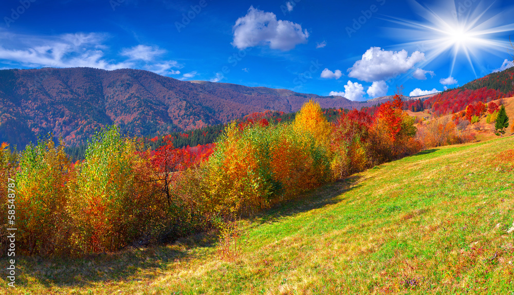 Colorful autumn panorama of the mountains