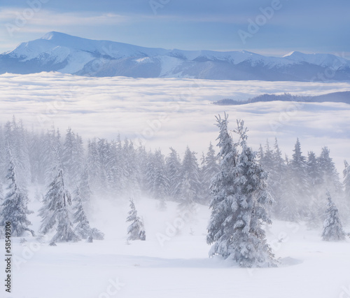 Fototapeta Naklejka Na Ścianę i Meble -  Foggy winter landscape in the mountains