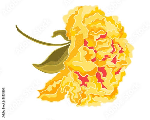 Yellow hibiscus full of flowers