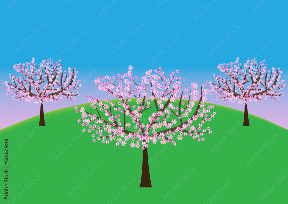 Fototapeta premium flourishing orchard