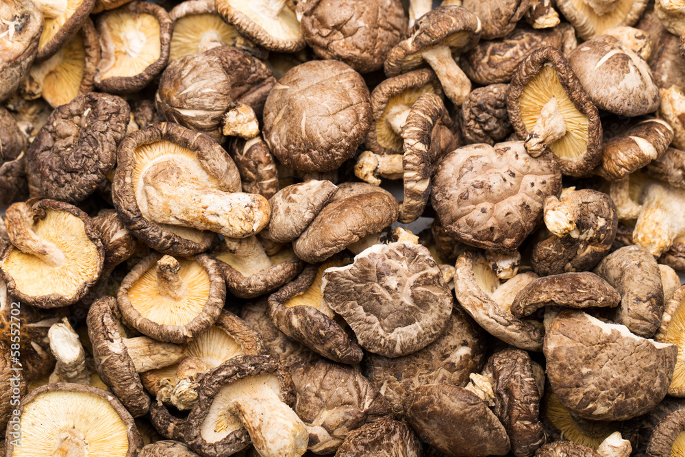 Dried shiitake Dried shiitake