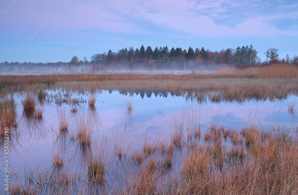 Fototapeta premium Misty autumn sunrise over swamp in Mandefijld