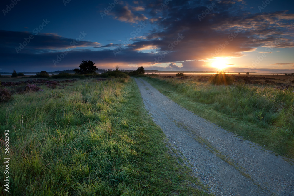 sunrise sunbeams over ground road