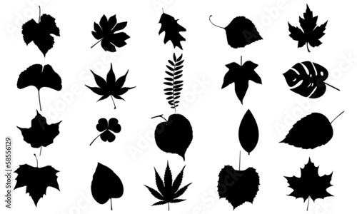 Leafs vector set