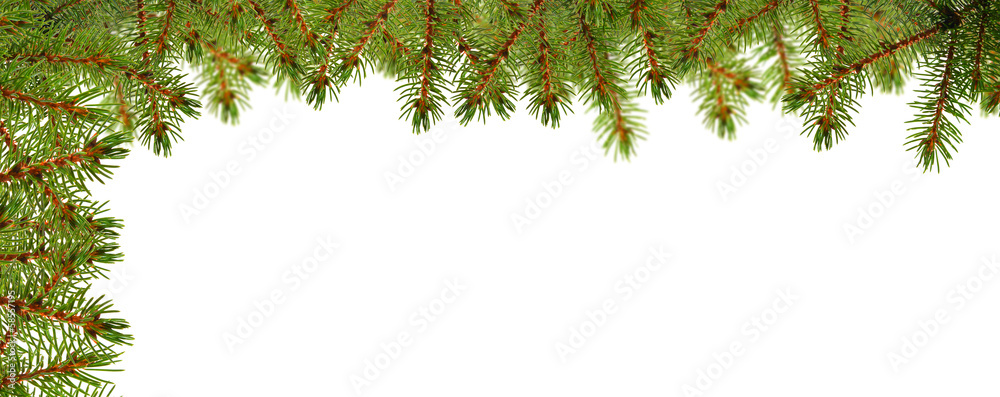 Obraz premium Weihnachtskarte mit Tannenzweigen