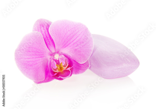 Flower of an orchid and soap