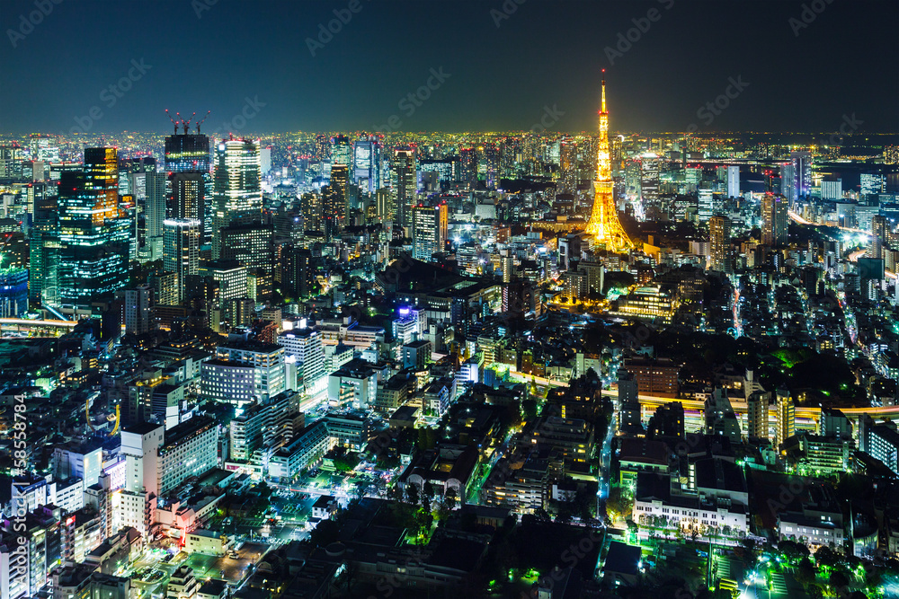 Fototapeta premium Tokyo skyline at night