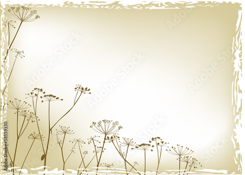 dry autumn plants on yellow background