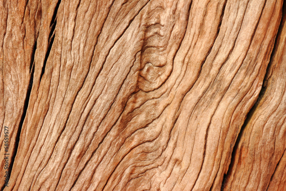 Naklejka premium Beautiful wood texture background.