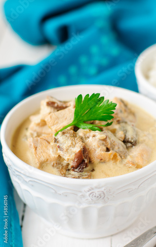 A Bowl of Chicken, Mushroom and Sour Cream Stew