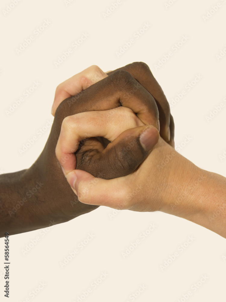 Obraz premium Mixity - Two joint hands symbolizing diversity