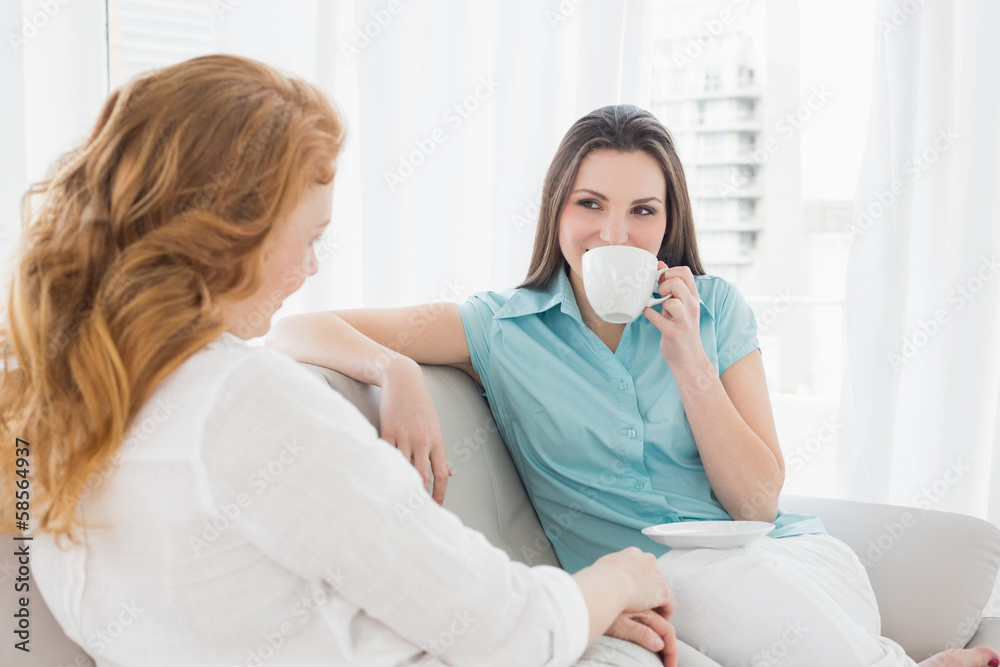 Female friends sitting on sofa in the living room Female friends sitting on sofa in the living room