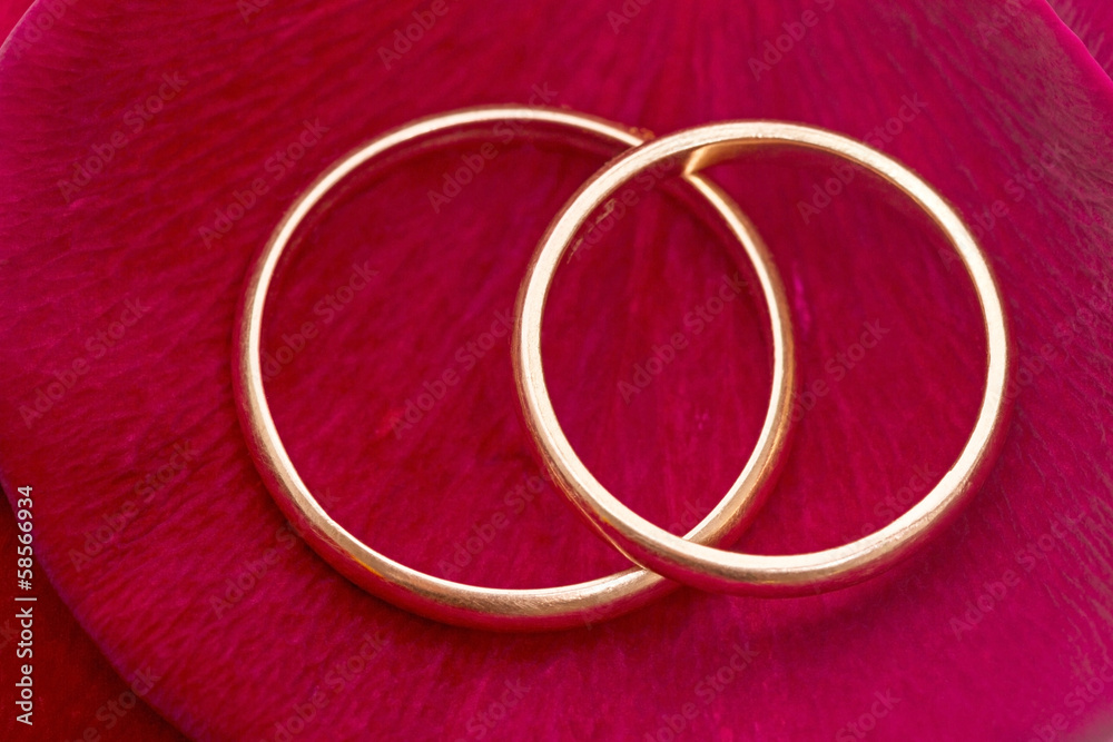 Wedding ring on the petals of red roses Wedding ring on the petals of red roses