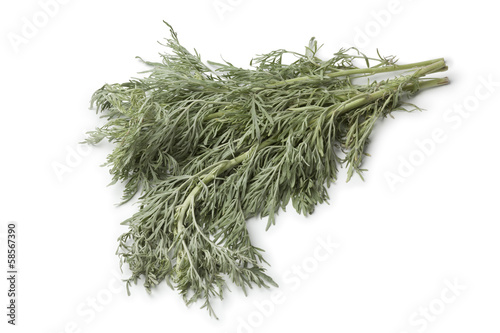 Fresh Artemisia Absinthium