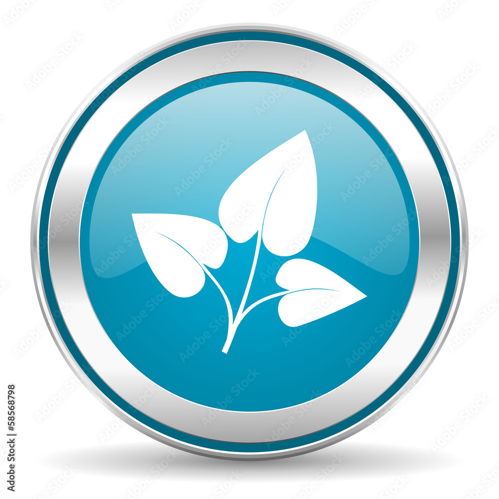 leaf icon leaf icon