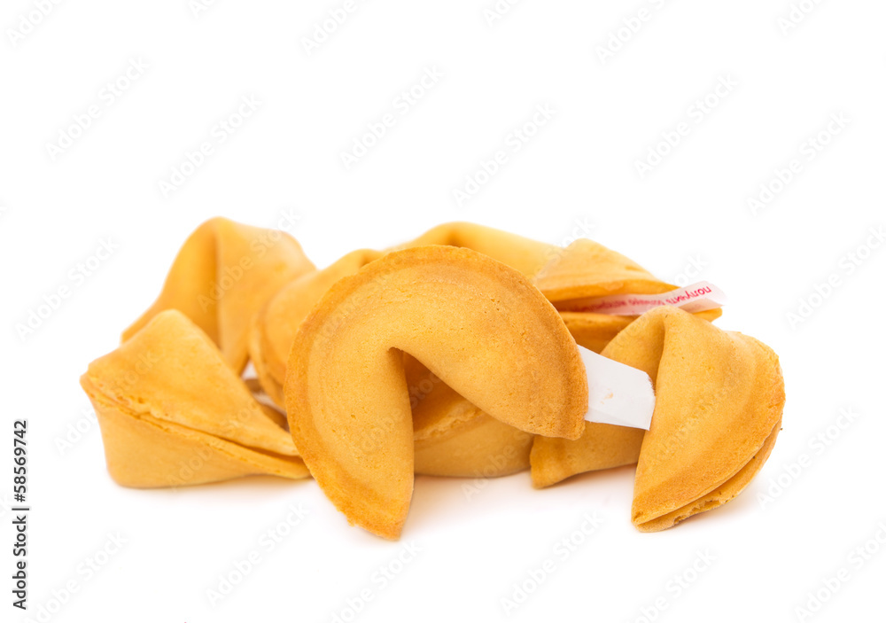 isolated fortune cookie isolated fortune cookie