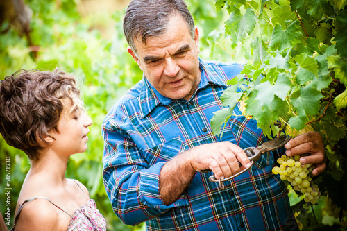 Grandfather and his grandchildren in vineyard .