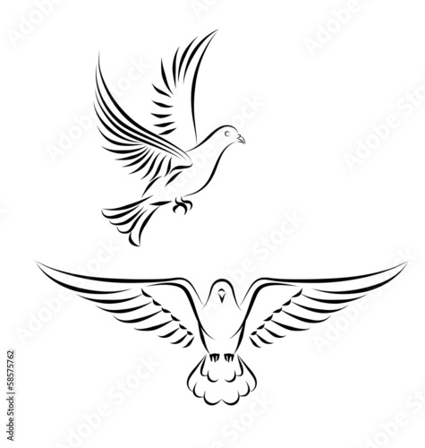 stylized dove in flight