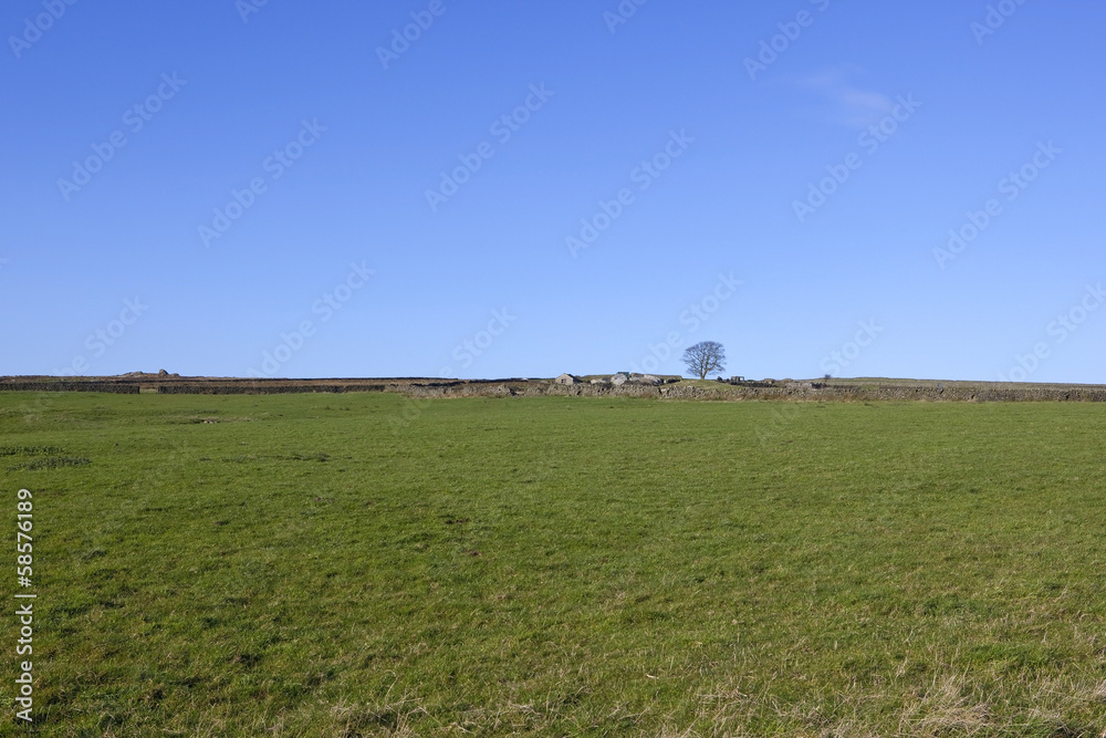 old buildings and dry stone walls