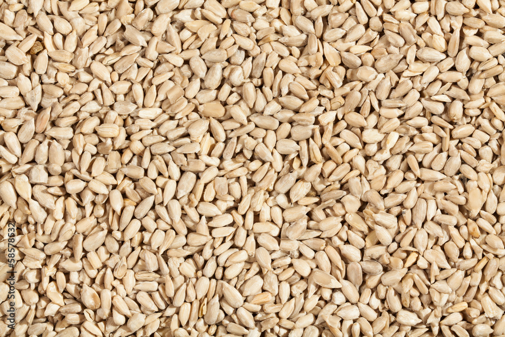 sunflower seeds sunflower seeds