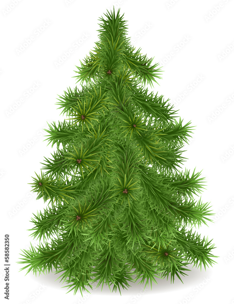 Christmas tree Christmas tree