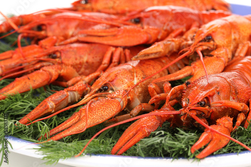 Tasty boiled crayfishes with fennel on plate close-up