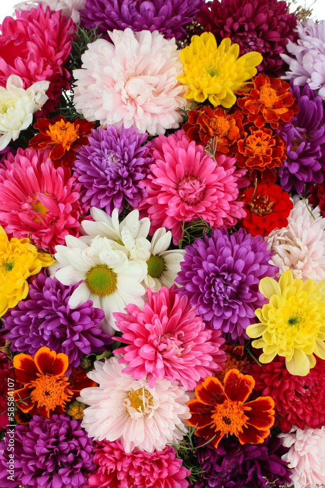 Beautiful bouquet of chrysanthemums close-up