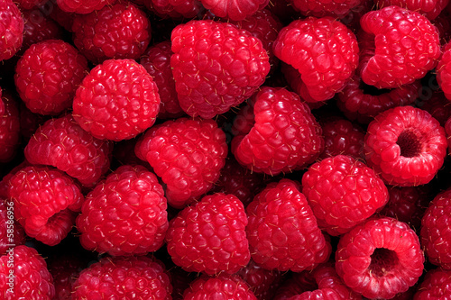 Fotografie, Obraz raspberries background