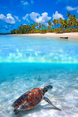 Fototapete Sansibar Über und unter Wasser Sansibar  © Kjersti
