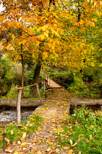 Autumn scene with a bridge and leaves