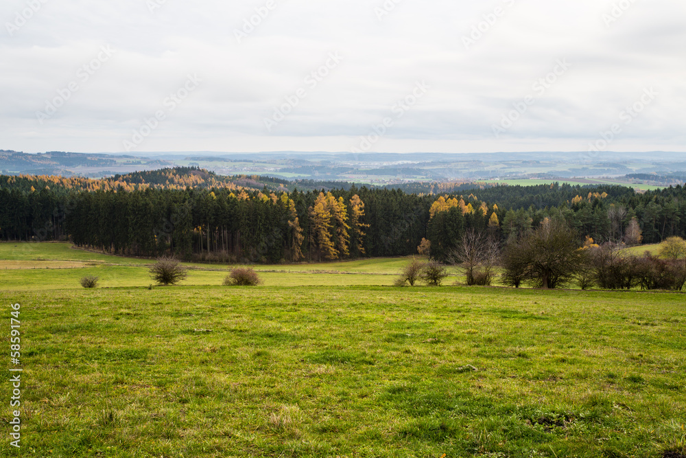 Fototapeta premium nature in the fall