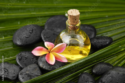 frangipani and wet spa stones on palm leaf texture