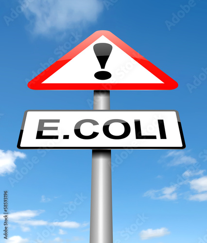 Vászonkép E coli concept.