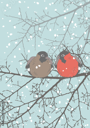 Two Bullfinches