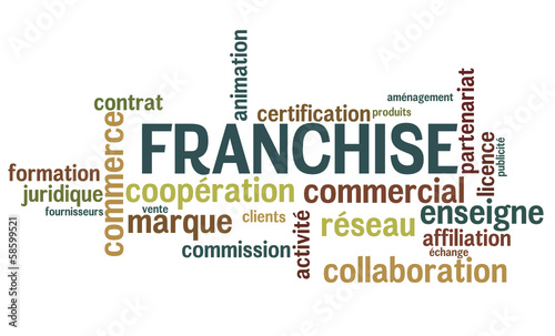 Nuage de Mots : Franchise