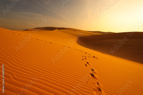 Exotic Endless Desert Landscape at Sunrise