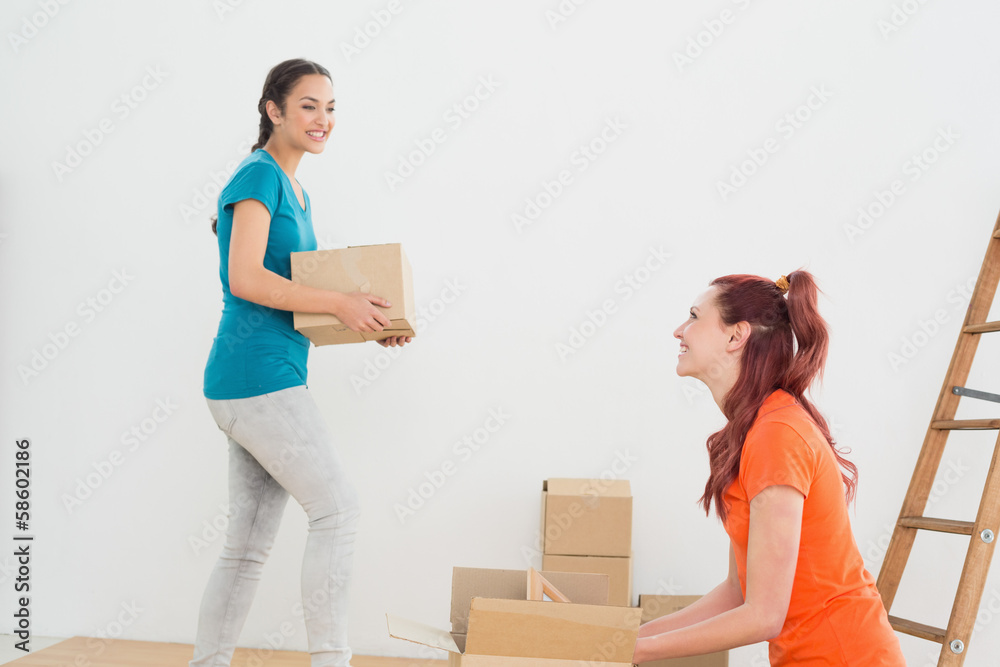 Two friends moving together in a new house Two friends moving together in a new house