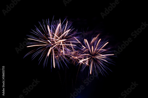 Colorful fireworks on the black sky background