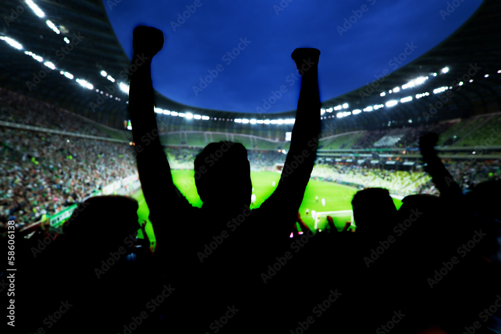 Football, soccer fans support their team and celebrate - obrazy, fototapety, plakaty 