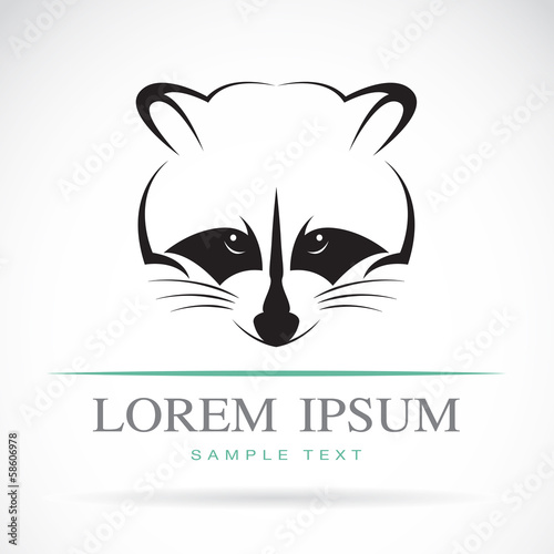 Vector of a raccoon on white background. Animals.