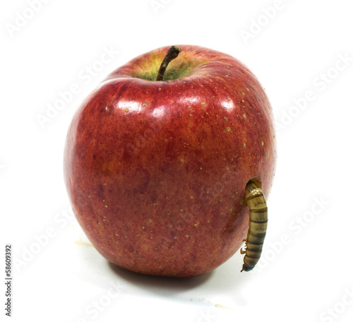 worm is coming out of bitten apple