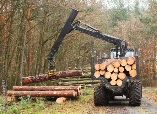 The lumberjack truck loaded with a timber.