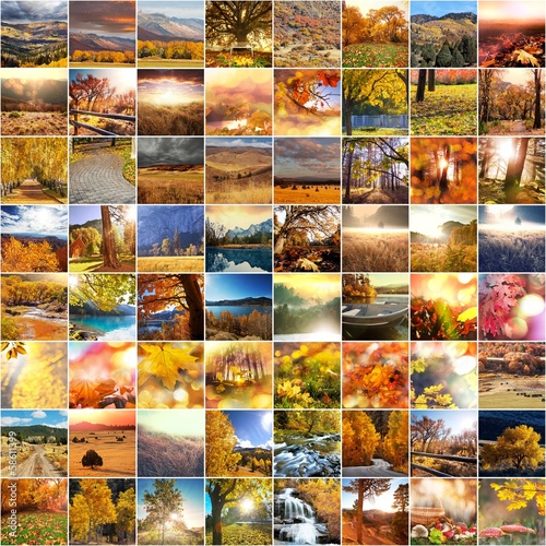 Fototapeta Naklejka Na Ścianę i Meble -  Autumn collage
