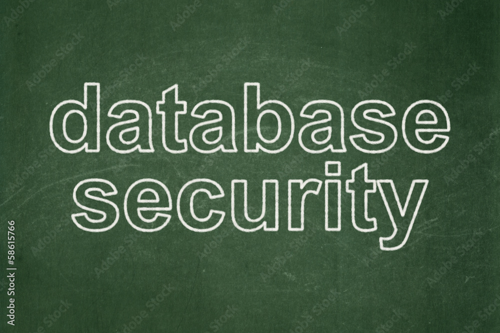 Obraz premium Safety concept: Database Security on chalkboard background