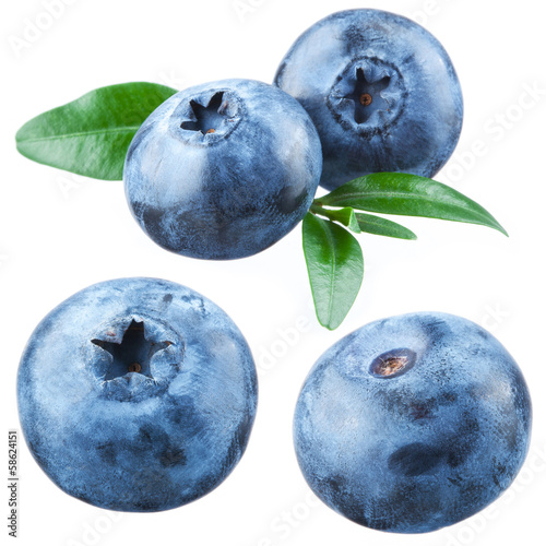 Blueberry. Collection of berries. Isolated on white background photo