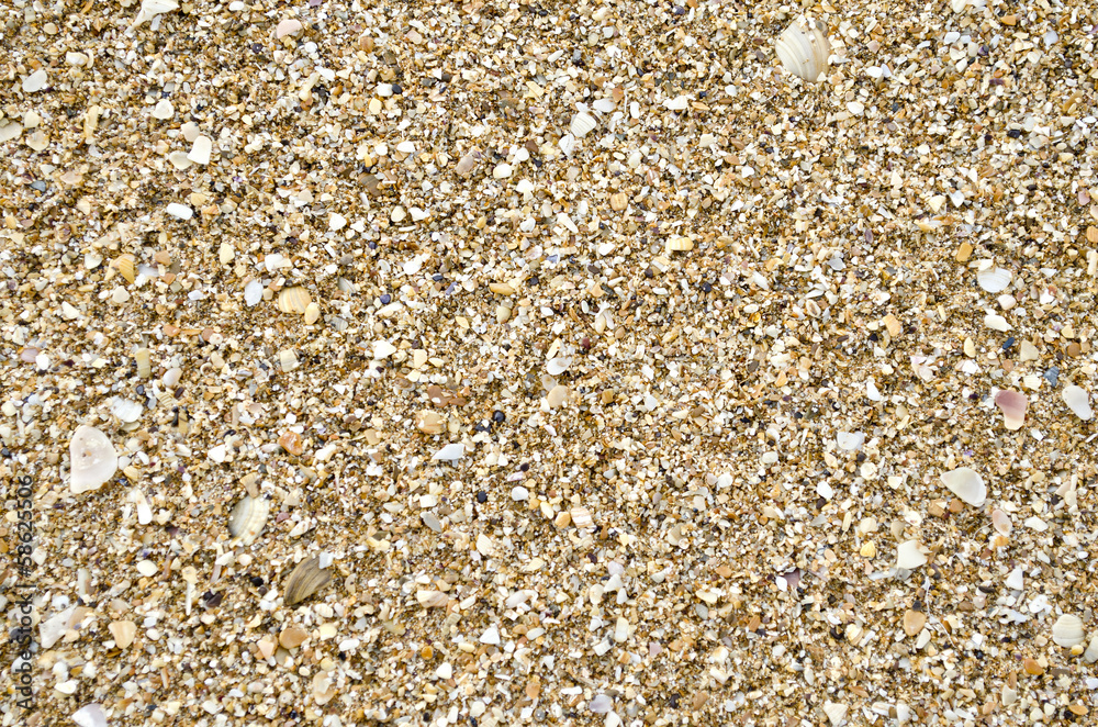 Texture of sand Texture of sand