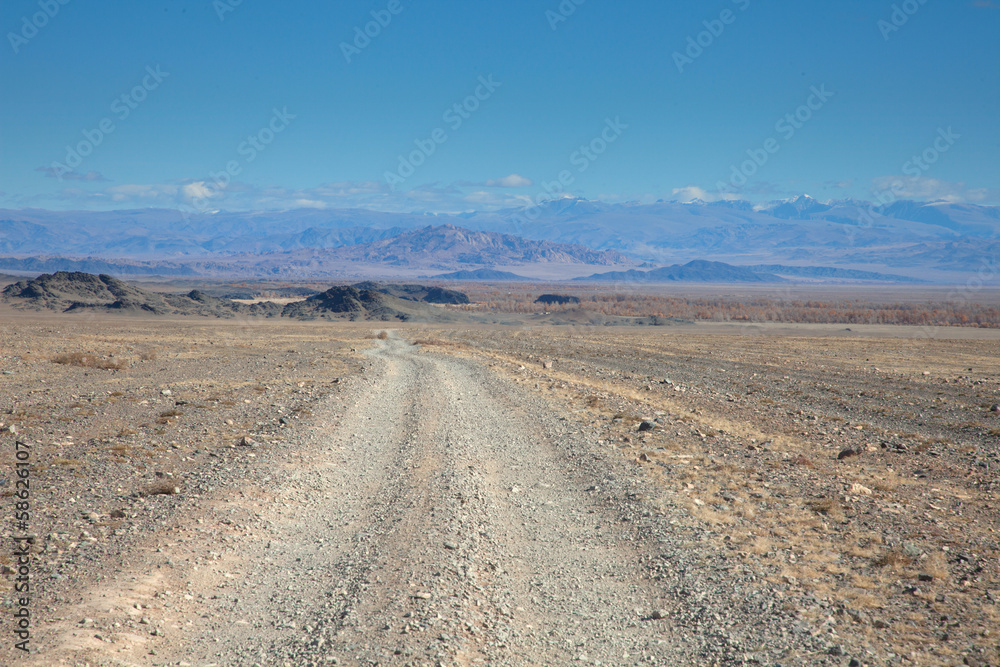 The road in the desert The road in the desert
