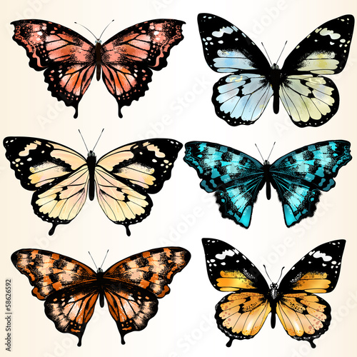 Collection of vector colorful butterflies for design